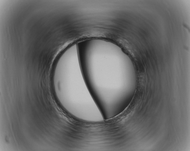 X0000098200395200804241043