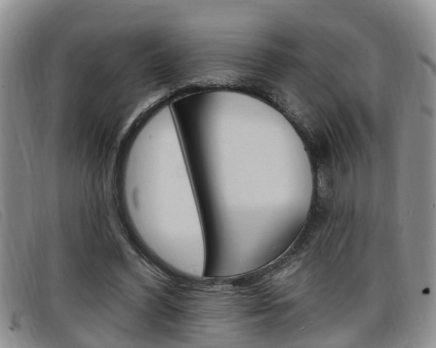 X0000098200396200804241043