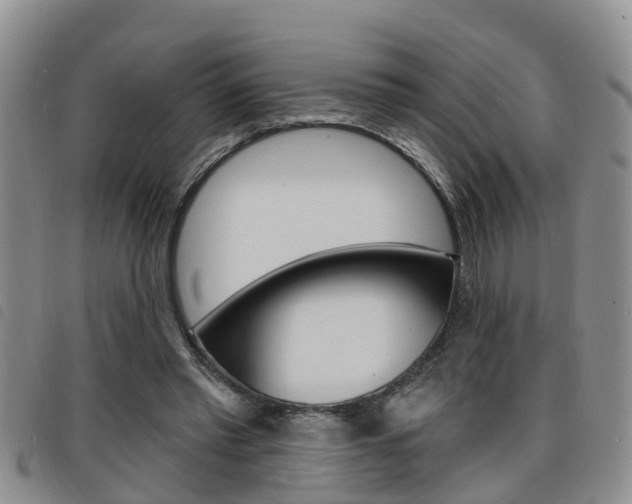 X0000098200397200804241043