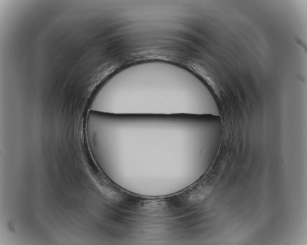 X0000098200398200804241043