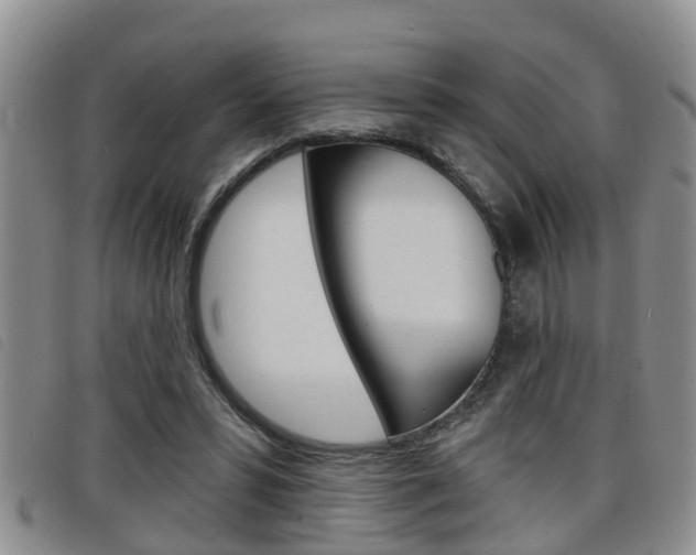X0000098200399200804241043