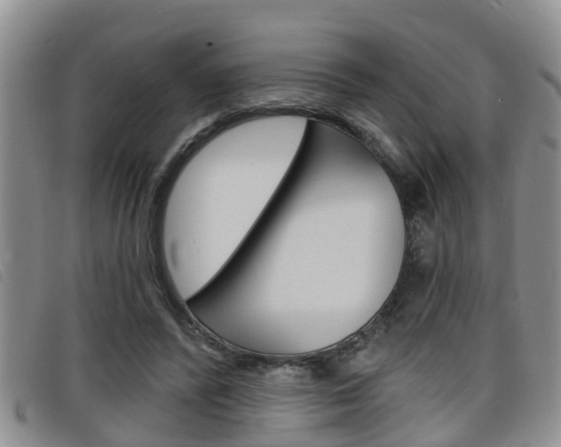 X0000098200400200804241043