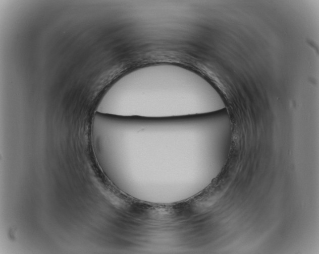 X0000098200402200804241043