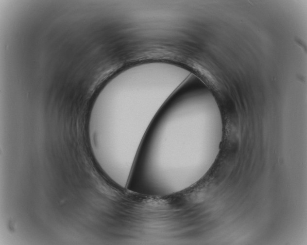 X0000098200403200804241043