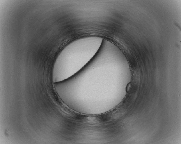 X0000098200406200804241043
