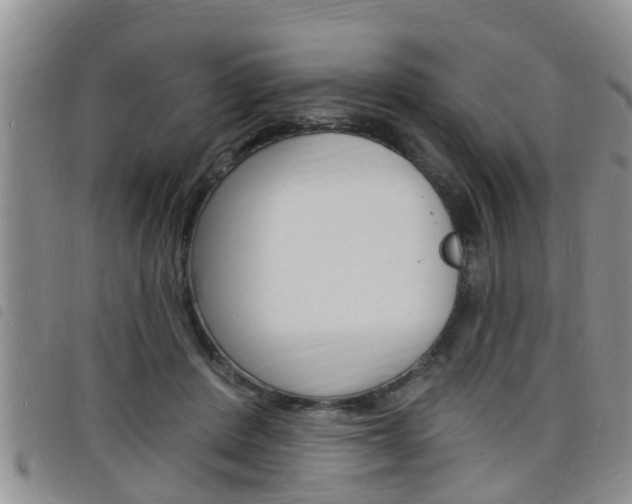 X0000098200408200804241043