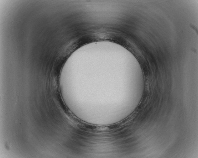 X0000098200410200804241043