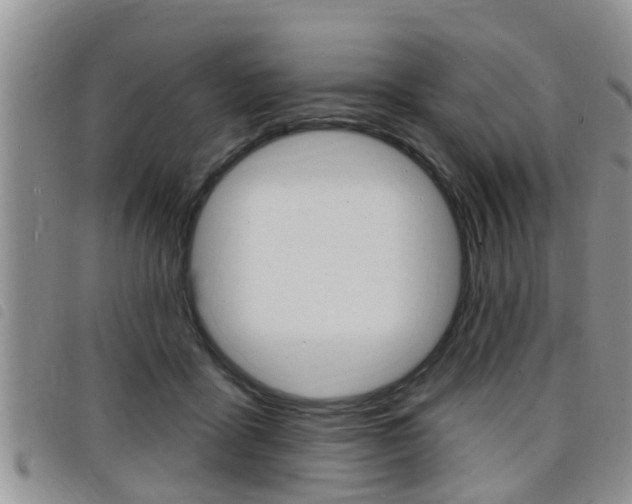 X0000098200411200804241043