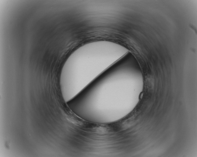 X0000098200412200804241043