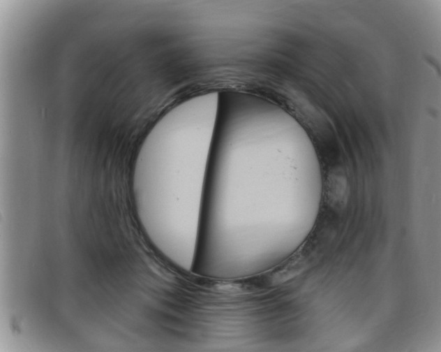 X0000098200413200804241043