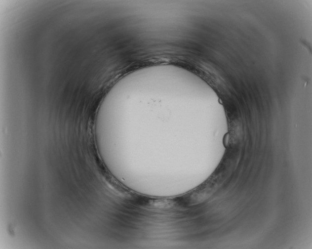 X0000098200414200804241043