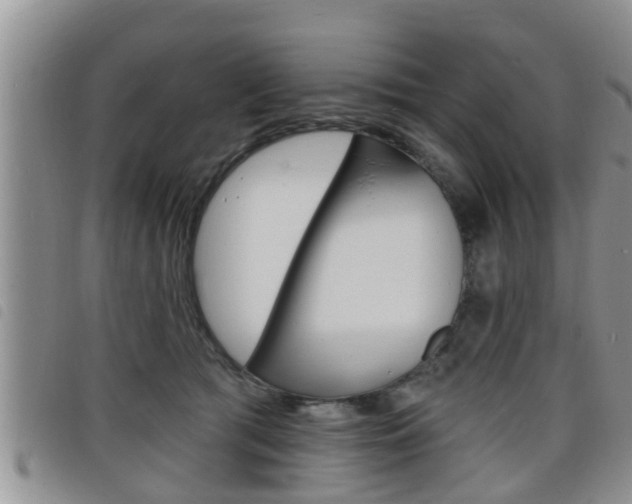 X0000098200417200804241043