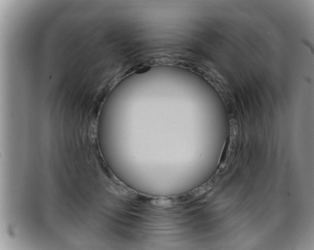 X0000098200419200804241043