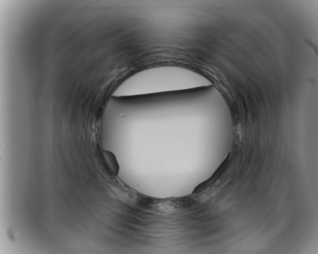 X0000098200423200804241043