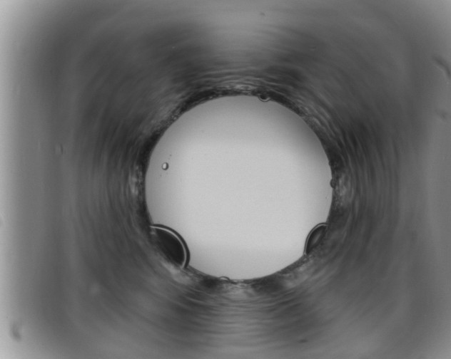 X0000098200424200804241043