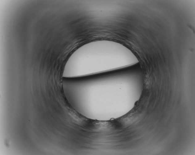 X0000098200428200804241043