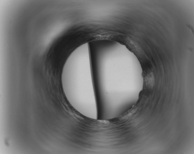 X0000098200429200804241043