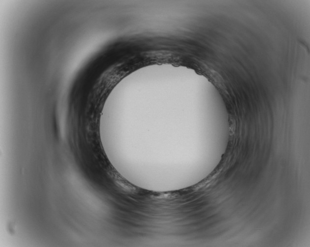 X0000098200430200804241043