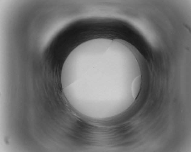X0000098200431200804241043