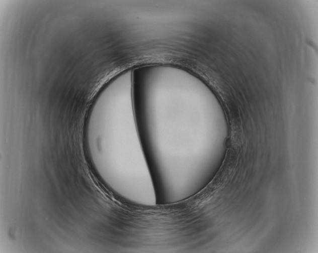 X0000098200434200804241042