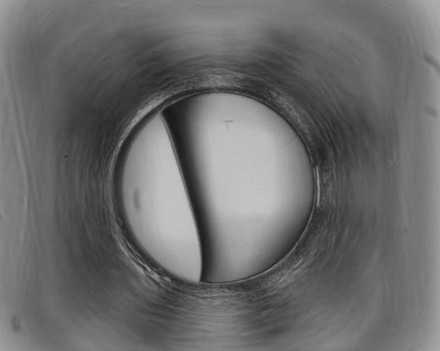 X0000098200435200804241042