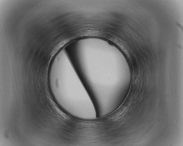 X0000098200437200804241042