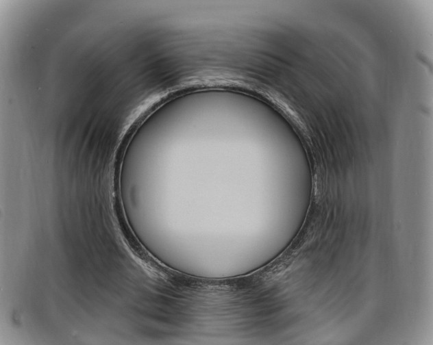 X0000098200438200804241042
