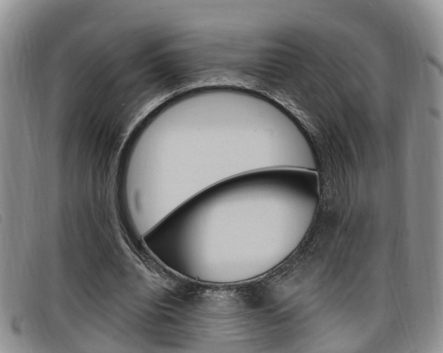 X0000098200440200804241042