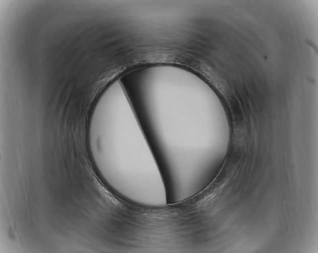 X0000098200441200804241042