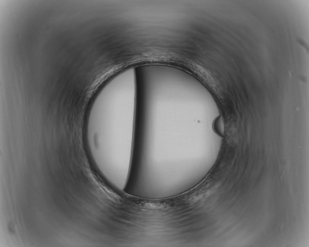 X0000098200442200804241042