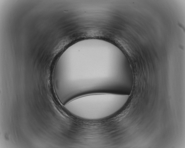 X0000098200443200804241042