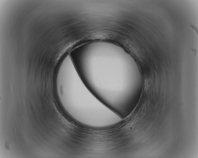 X0000098200444200804241042