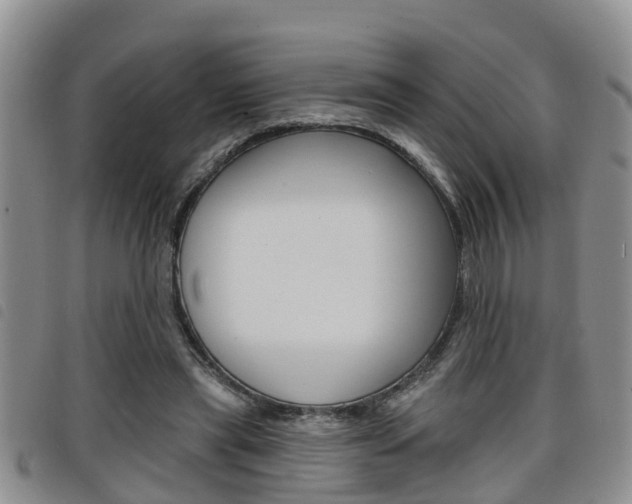 X0000098200445200804241042