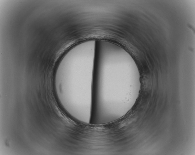X0000098200446200804241042