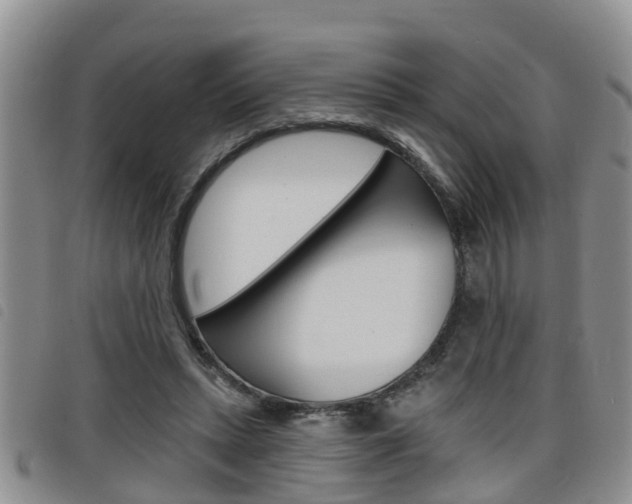 X0000098200447200804241042