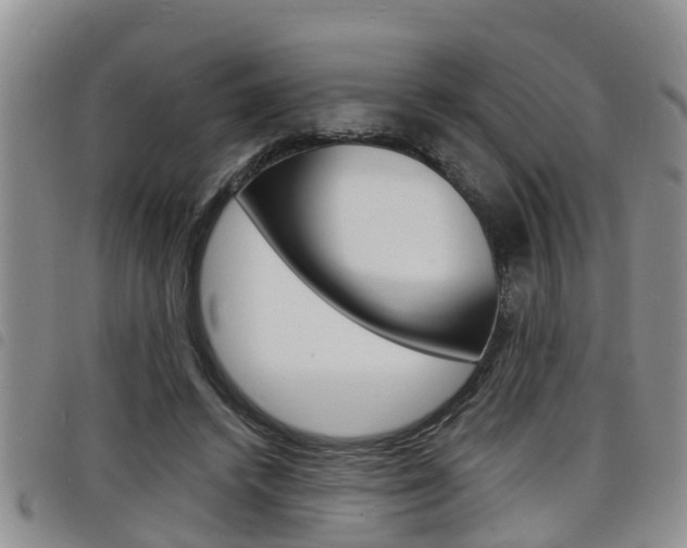 X0000098200448200804241042