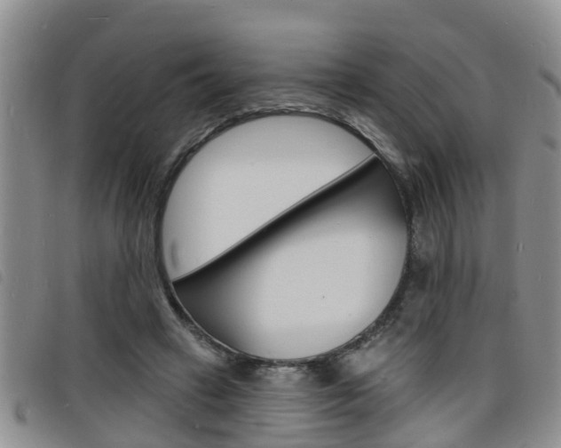 X0000098200449200804241042