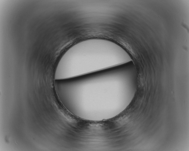 X0000098200450200804241042