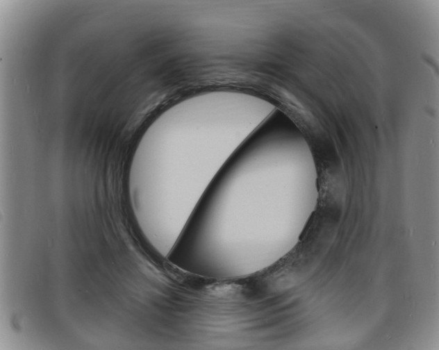 X0000098200452200804241042