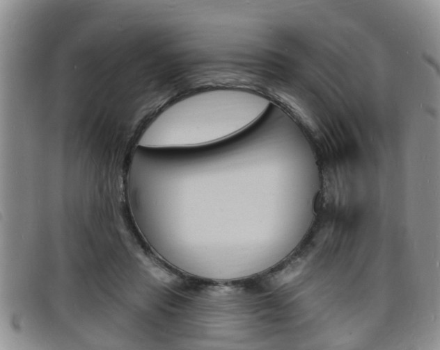 X0000098200453200804241042