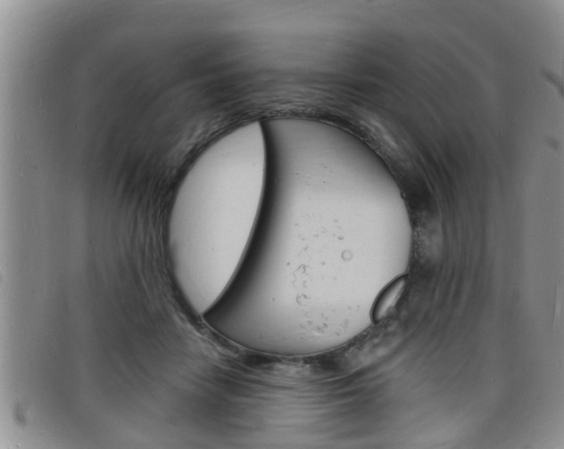 X0000098200458200804241043