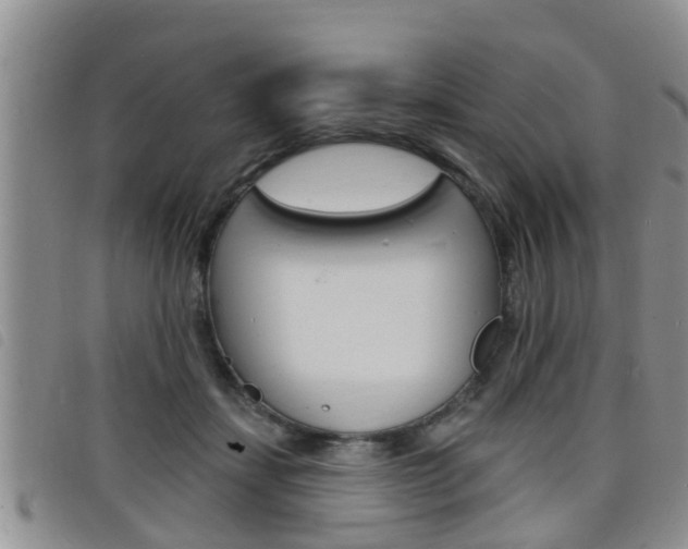X0000098200459200804241043
