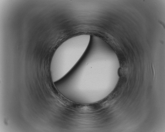 X0000098200460200804241043