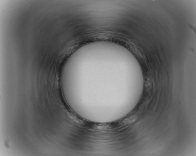 X0000098200466200804241043