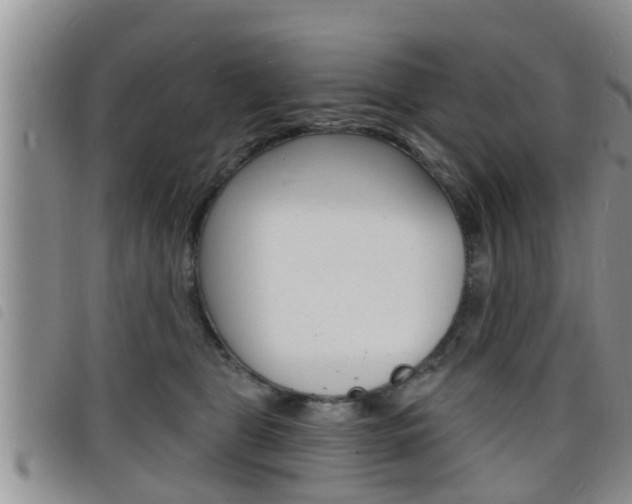 X0000098200469200804241043