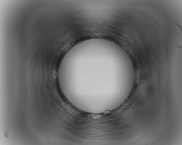 X0000098200472200804241043