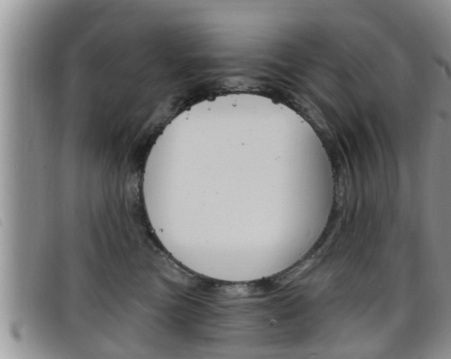 X0000098200473200804241043