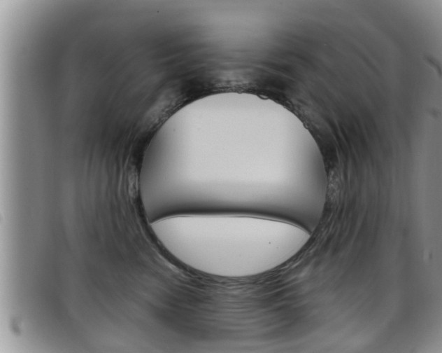 X0000098200474200804241043