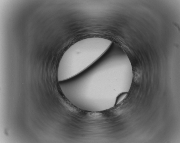 X0000098200476200804241043