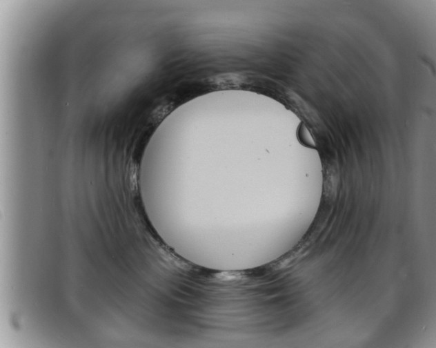 X0000098200477200804241043